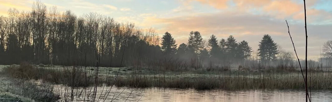 Praktijk voor Natuurgeneeskunde