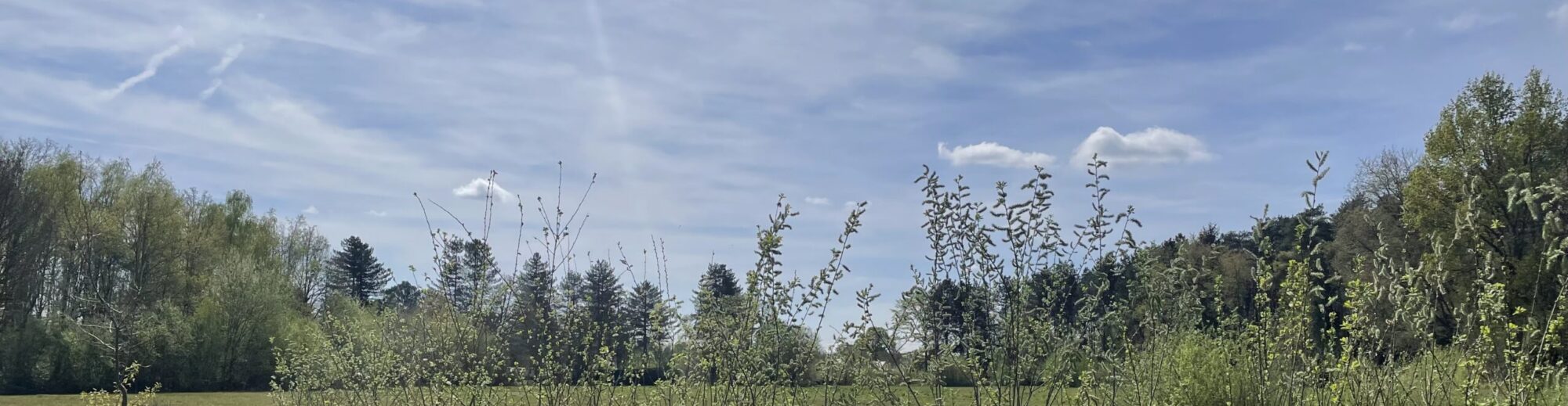 Praktijk voor Natuurgeneeskunde